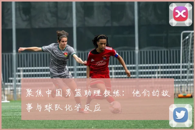聚焦中国男篮助理教练:他们的故事与球队化学反应